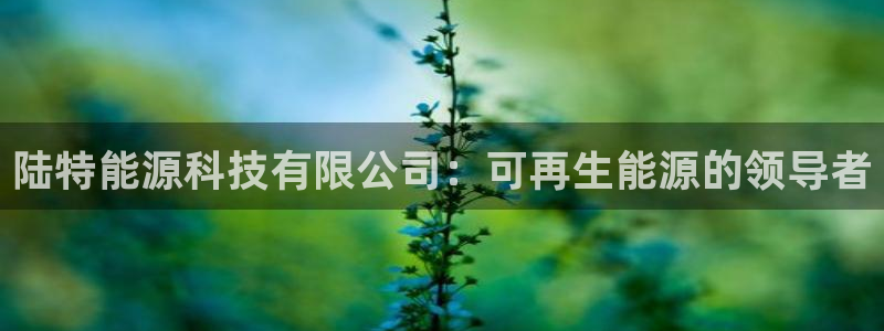 sunbet游戏最新版