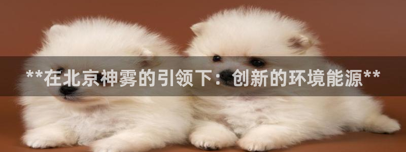 sunbet手机网页版