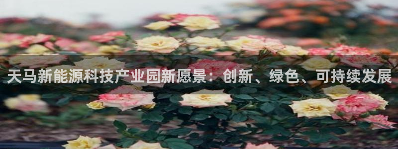 sunbet英语翻译