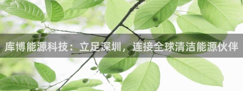 申博官网手机版下载app