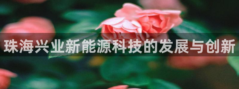sunbet源码