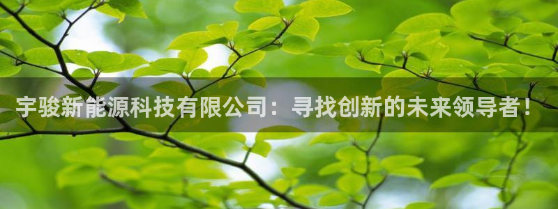 sunbething怎么读