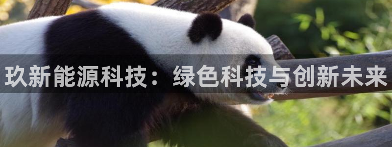 sunbet英语翻译