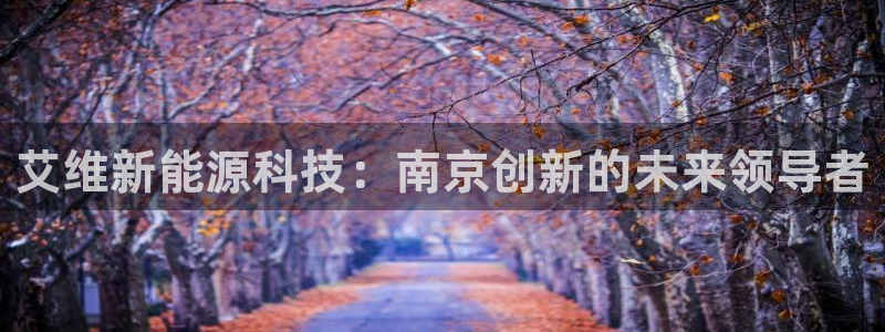 sunbet英语翻译