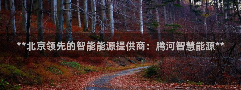 sunbet申搏官网
