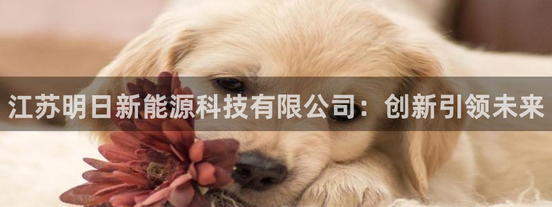 申博手机网站