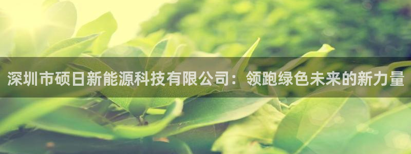 申博官网电脑版下载