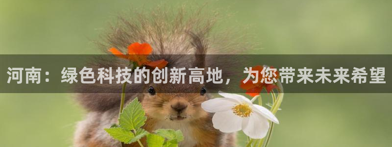sunbet安卓下载