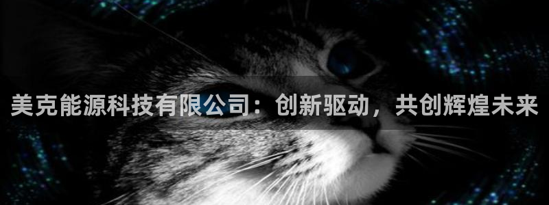 申博官方网站手机版下载