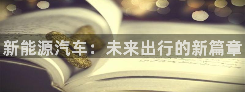 sunbet英语翻译