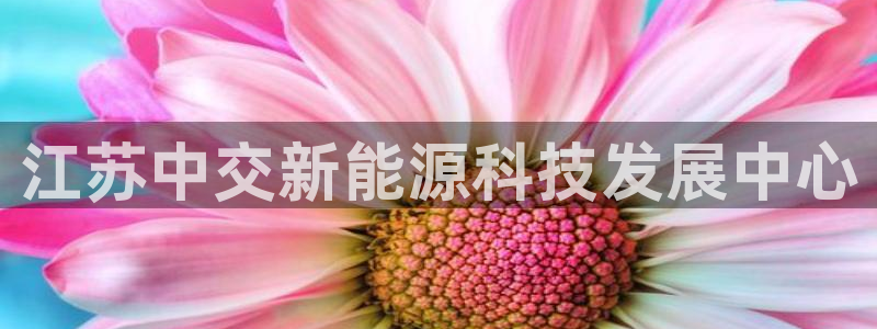 sunbet手机网页版本