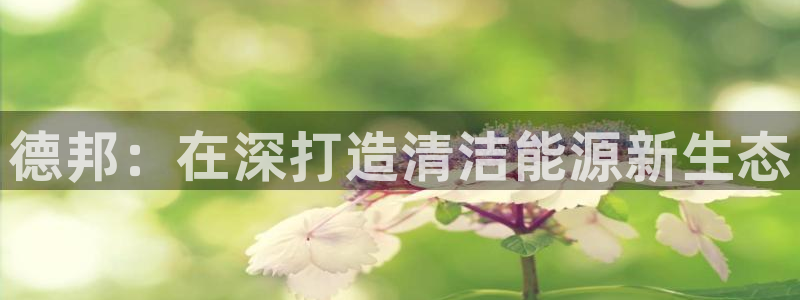 sunbet手机版官网下载