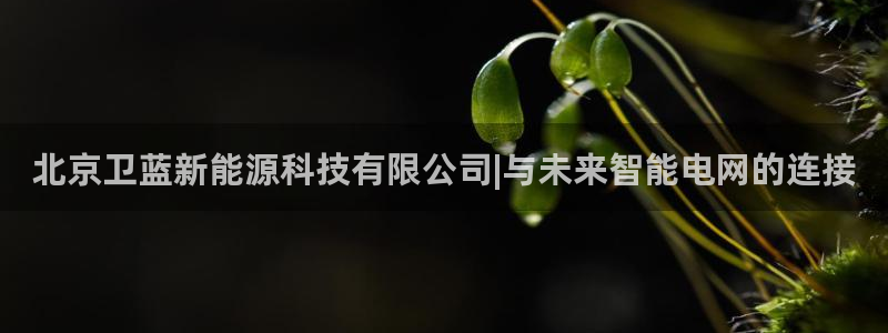 sunbet手机网页版下载