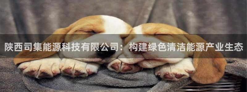 sunbet官网代理下载