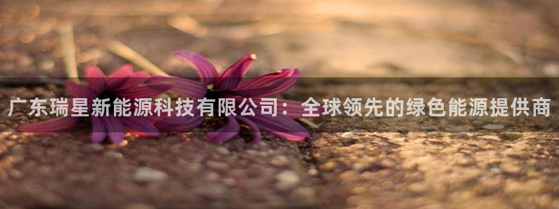 申博官网电脑版下载