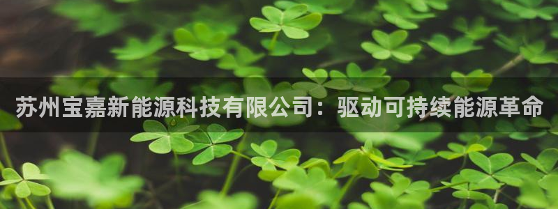sunbet安卓下载