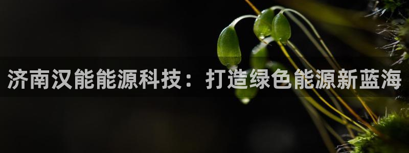 sunbet中文