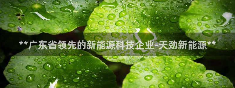 申博手机网址