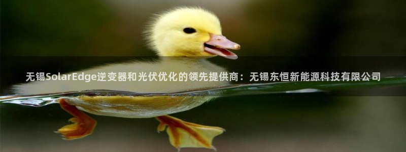 sunbet英语翻译