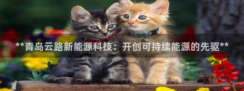 申博手机版app下载