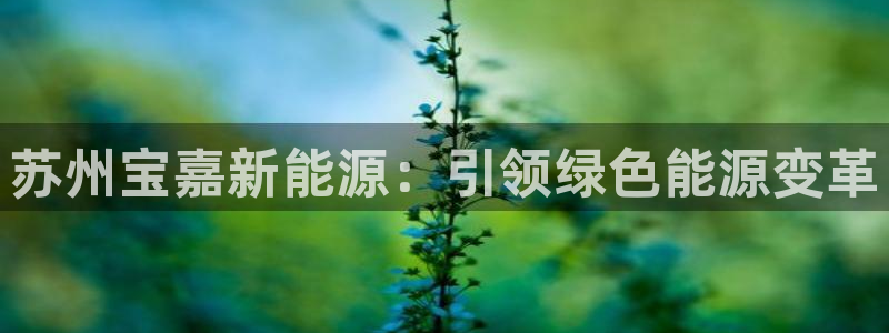 申慱sunbet版app