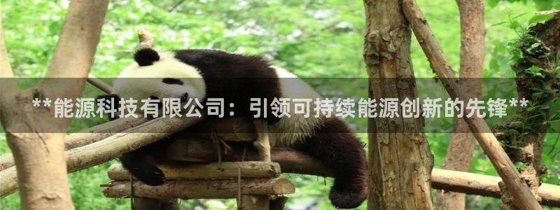 sunbet申搏官方网站