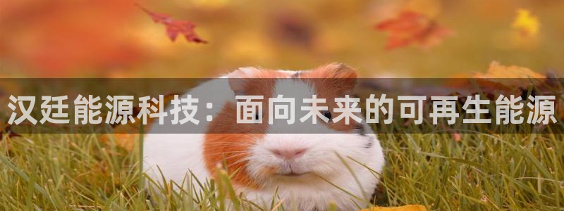 申慱sunbet手机版登