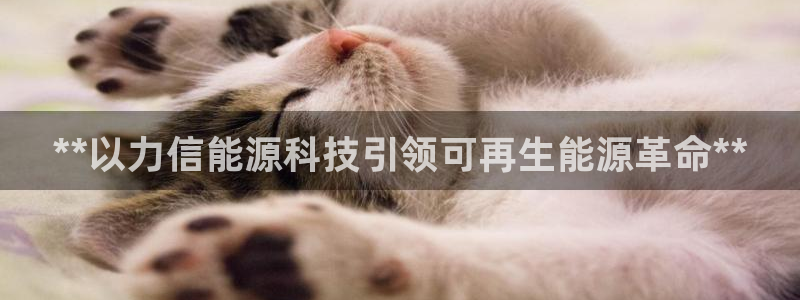 sunbet中文