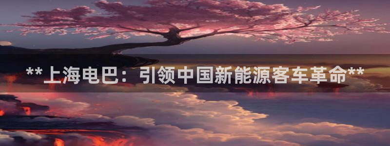 sunbet最新消息