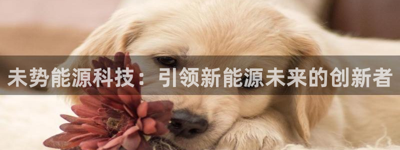 sunbet手机网页版本