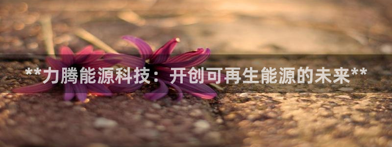 sunbet安卓下载