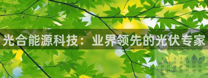 sunbet申搏app下载