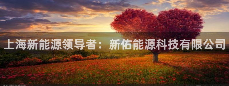 sunbet安卓下载