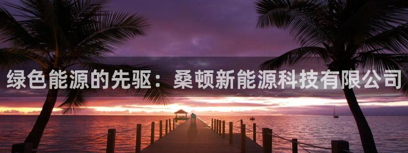 申博官网电脑版下载