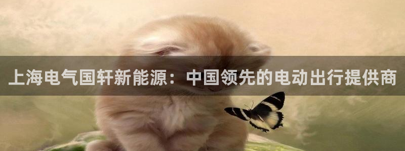sunbet苹果app