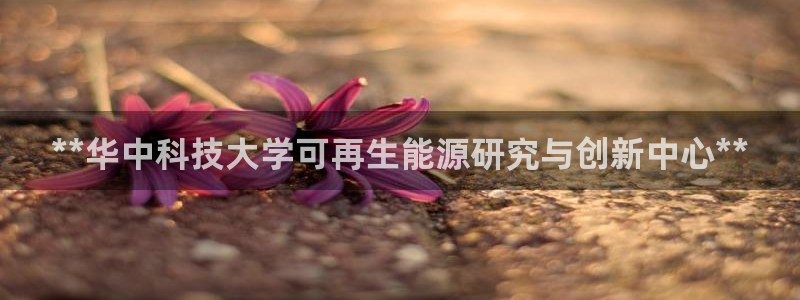 sunbet游戏最新版