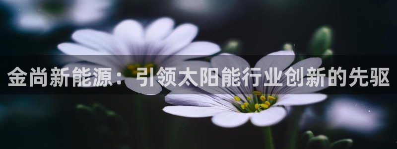 sunbet中文