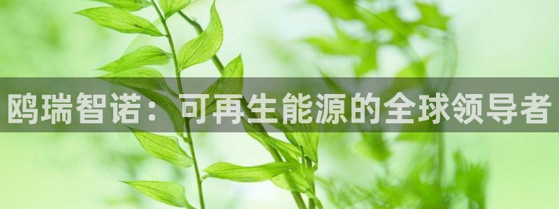 sunbet申搏平台