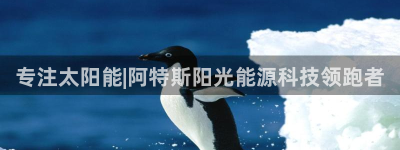 sunbet英语翻译