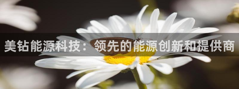 sunbet手机app版