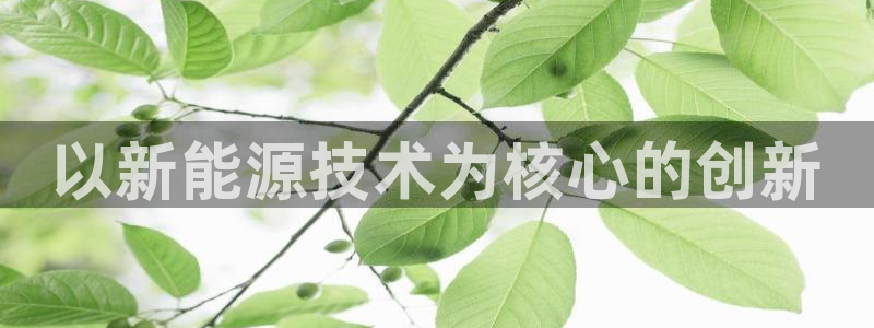 sunbet程序