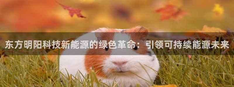申博官网手机版下载app