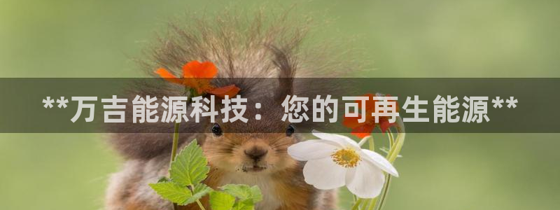 sunbet游戏