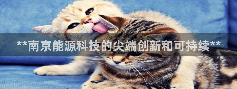 sunbet手机版登录