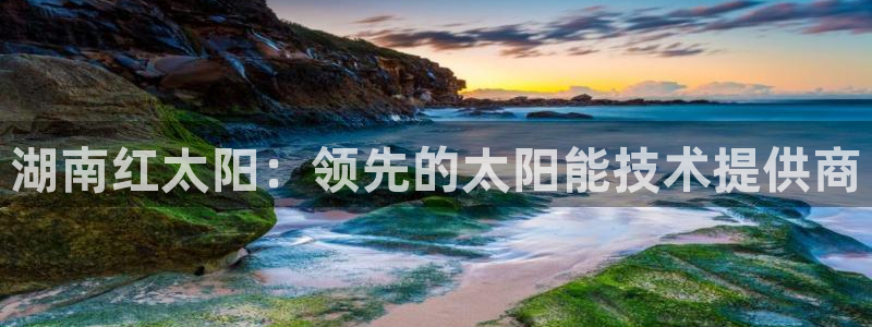 sunbet手机app版