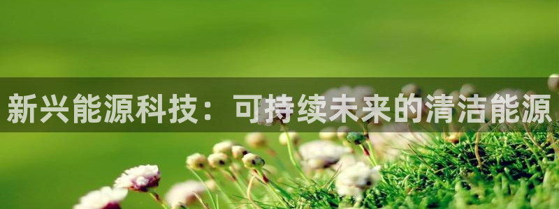 sunbet程序