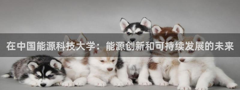 申博手机版app下载