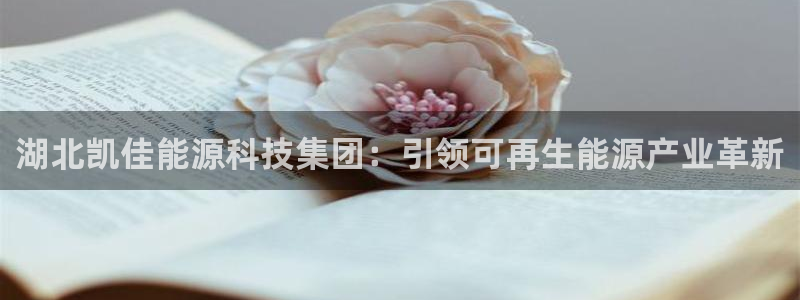 sunbet手机网页版