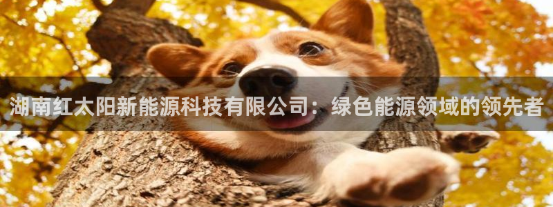 sunbet线上真人手机版