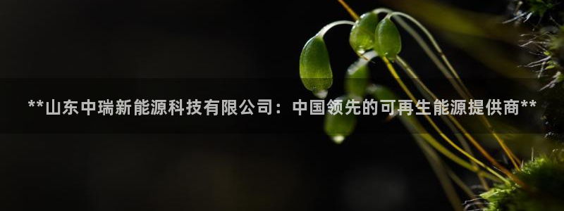 sunbet中国官网